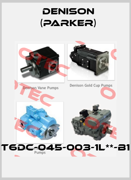 T6DC-045-003-1L**-B1 Denison (Parker)