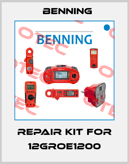 Repair kit for 12GROE1200 Benning