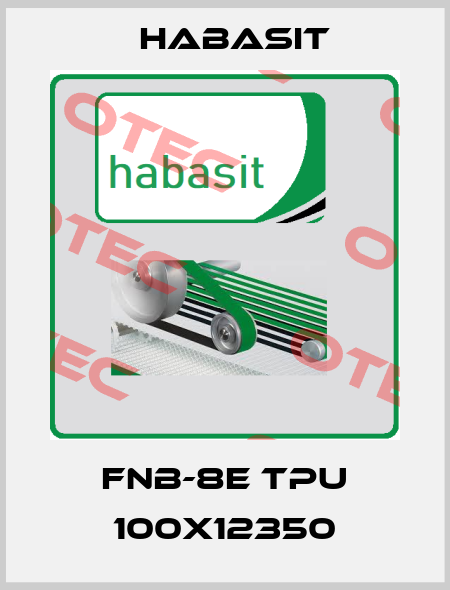FNB-8E TPU 100X12350 Habasit