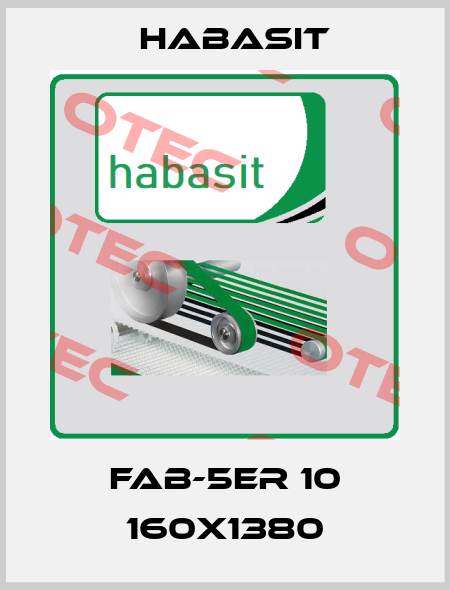 FAB-5ER 10 160X1380 Habasit
