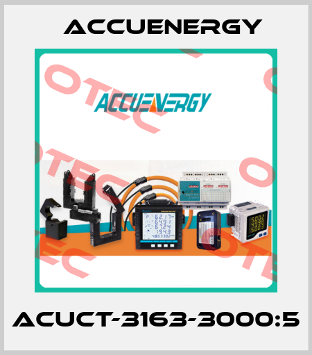 AcuCT-3163-3000:5 Accuenergy