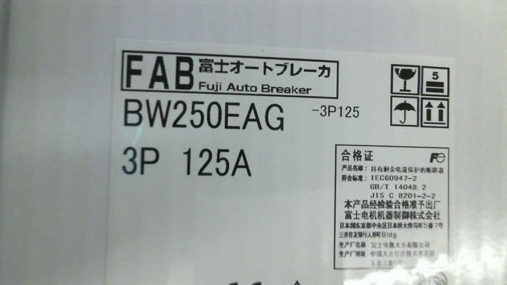 BW250EAG-3P125-big