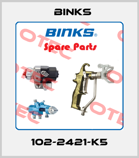 102-2421-K5 Binks