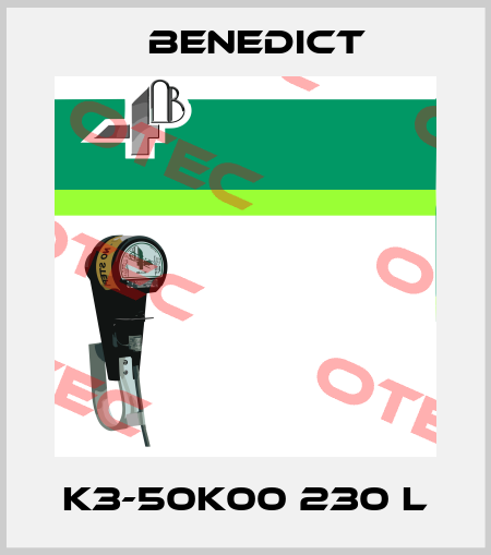 K3-50K00 230 L Benedict