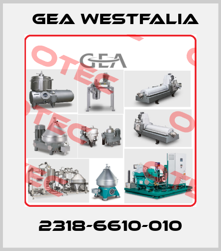 2318-6610-010 Gea Westfalia