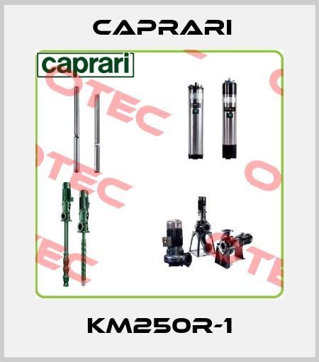 KM250R-1 CAPRARI 