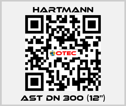 AST DN 300 (12") Hartmann