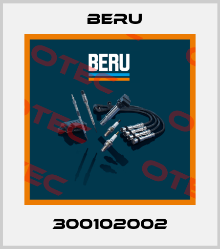 300102002 Beru