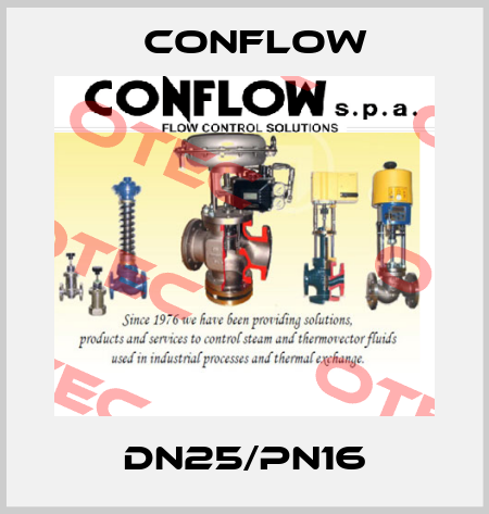 DN25/PN16 CONFLOW