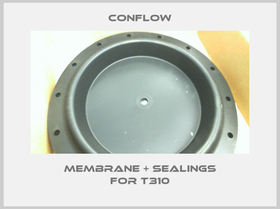 membrane + sealings for T310-big