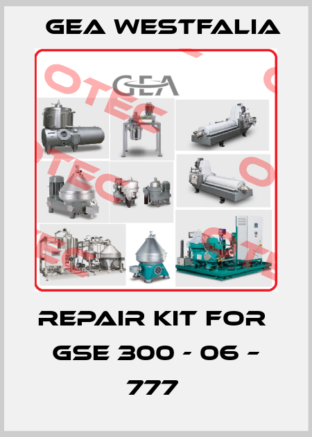REPAIR KIT FOR  GSE 300 - 06 – 777  Gea Westfalia