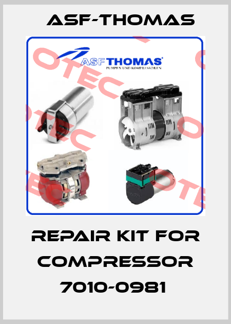 REPAIR KIT FOR COMPRESSOR 7010-0981  ASF-Thomas