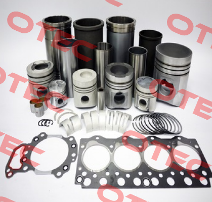 REPAIR KIT FOR GEAR QVRB2L  Hansen