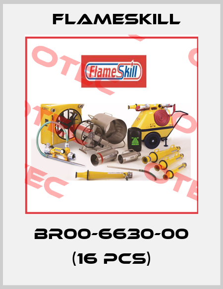 BR00-6630-00 (16 pcs) FlameSkill