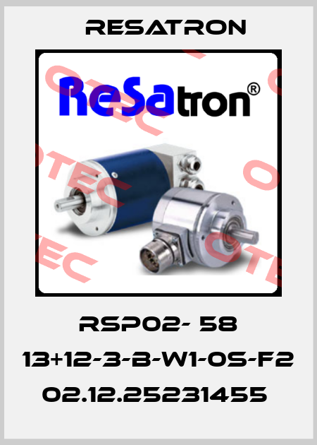 RSP02- 58 13+12-3-B-W1-0S-F2  02.12.25231455  Resatron