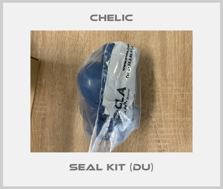 Seal Kit (DU)-big