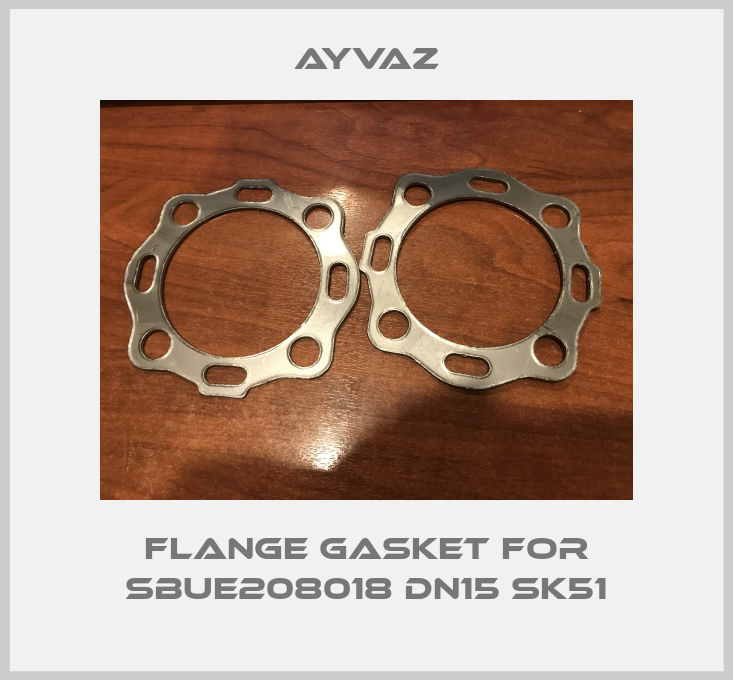 flange gasket for SBUE208018 DN15 SK51-big