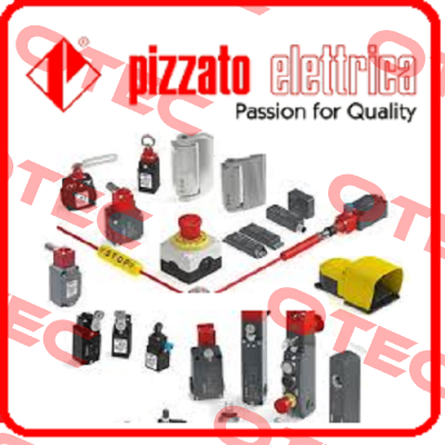 IEC 609475-1 (OEM) Pizzato Elettrica