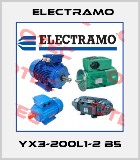YX3-200L1-2 B5 Electramo