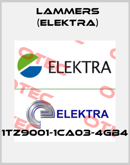 1TZ9001-1CA03-4GB4 Lammers (Elektra)