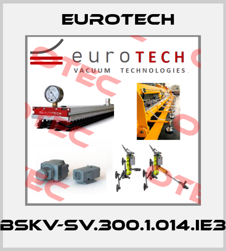 BSKV-SV.300.1.014.IE3 EUROTECH