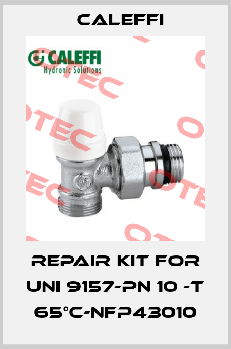 Repair kit for UNI 9157-PN 10 -T 65°C-NFP43010 Caleffi