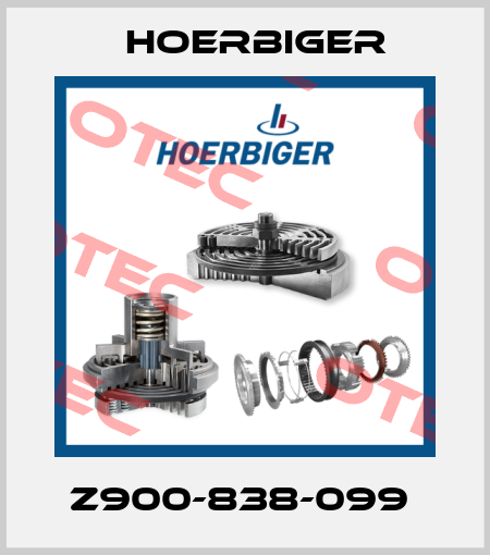 Z900-838-099  Hoerbiger