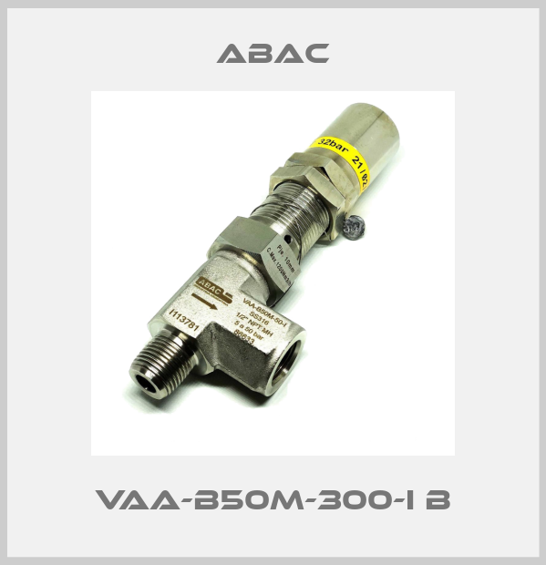 VAA-B50M-300-I B-big