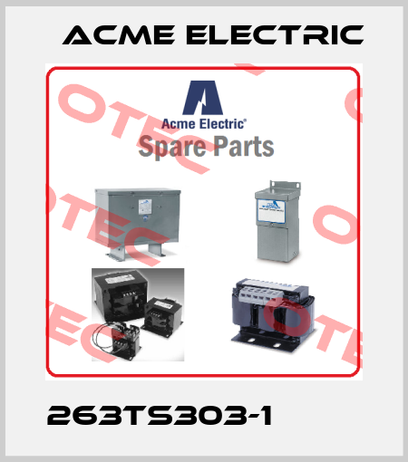 263TS303-1          Acme Electric