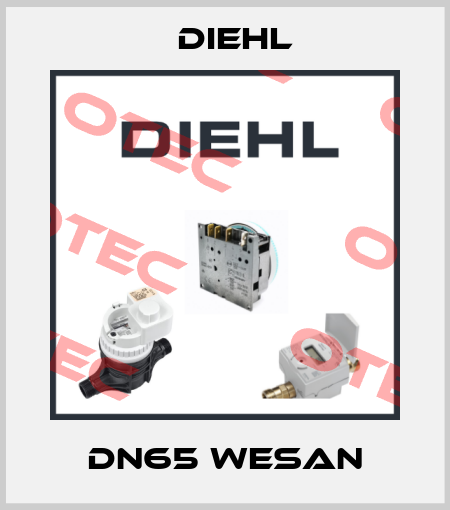 DN65 WESAN Diehl
