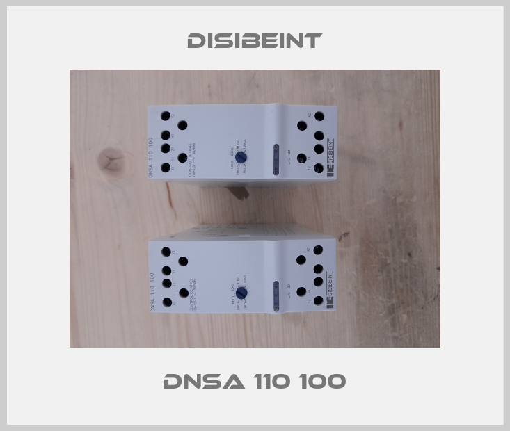 DNSA 110 100-big