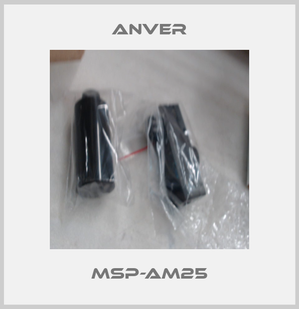 MSP-AM25-big