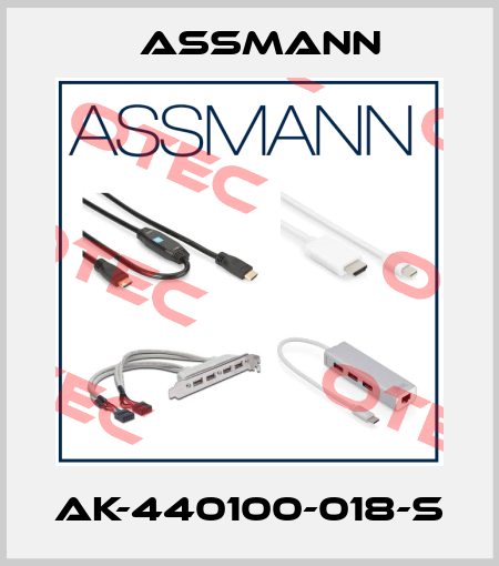 AK-440100-018-S Assmann