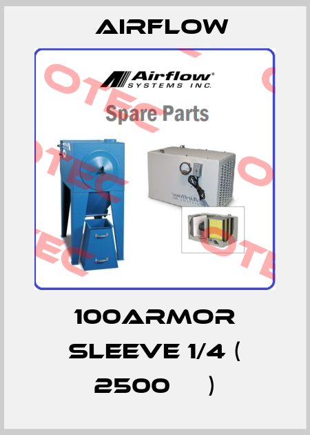 100Armor Sleeve 1/4 ( 2500 мм) Airflow