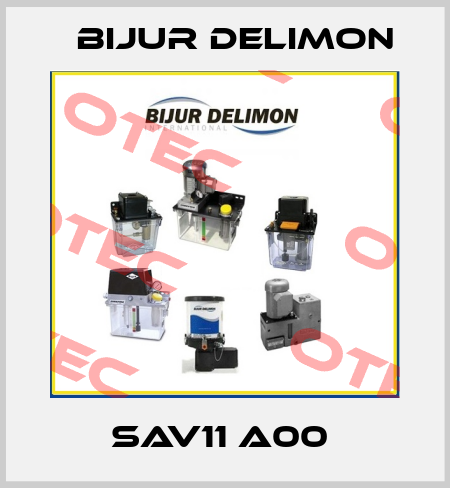 SAV11 A00  Bijur Delimon