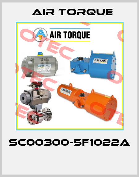SC00300-5F1022A  Air Torque
