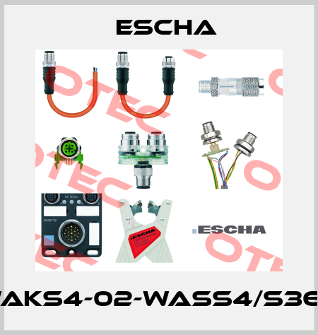 WAKS4-02-WASS4/S366 Escha