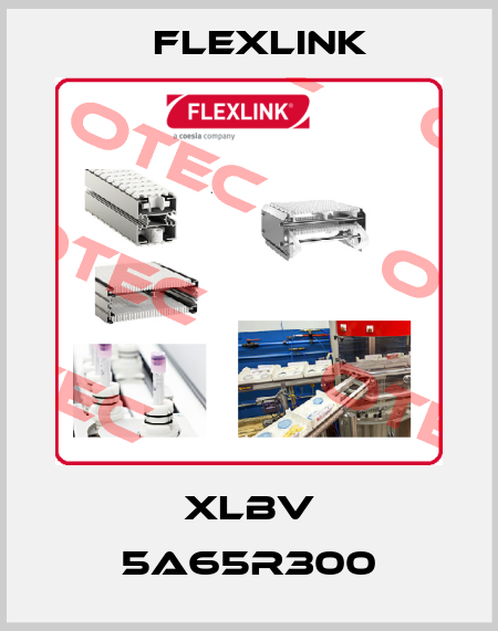 XLBV 5A65R300 FlexLink