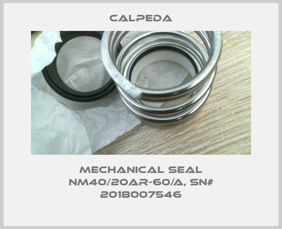 mechanical seal NM40/20AR-60/A, SN# 2018007546-big