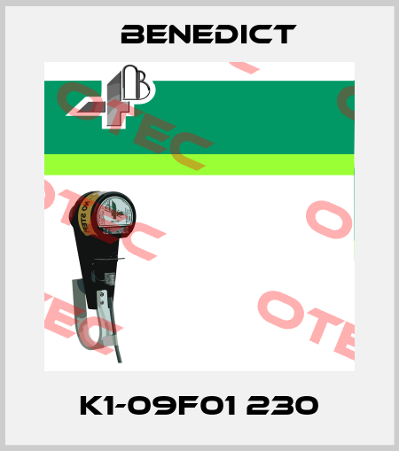 K1-09F01 230 Benedict