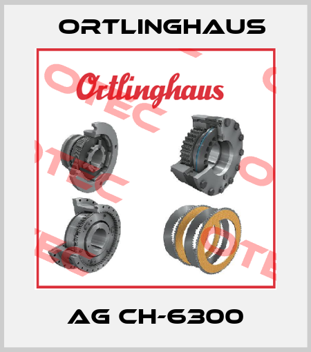 AG CH-6300 Ortlinghaus