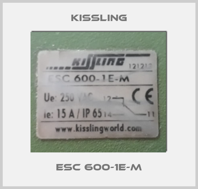 ESC 600-1E-M-big