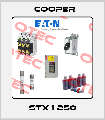 STX-1 250 Cooper