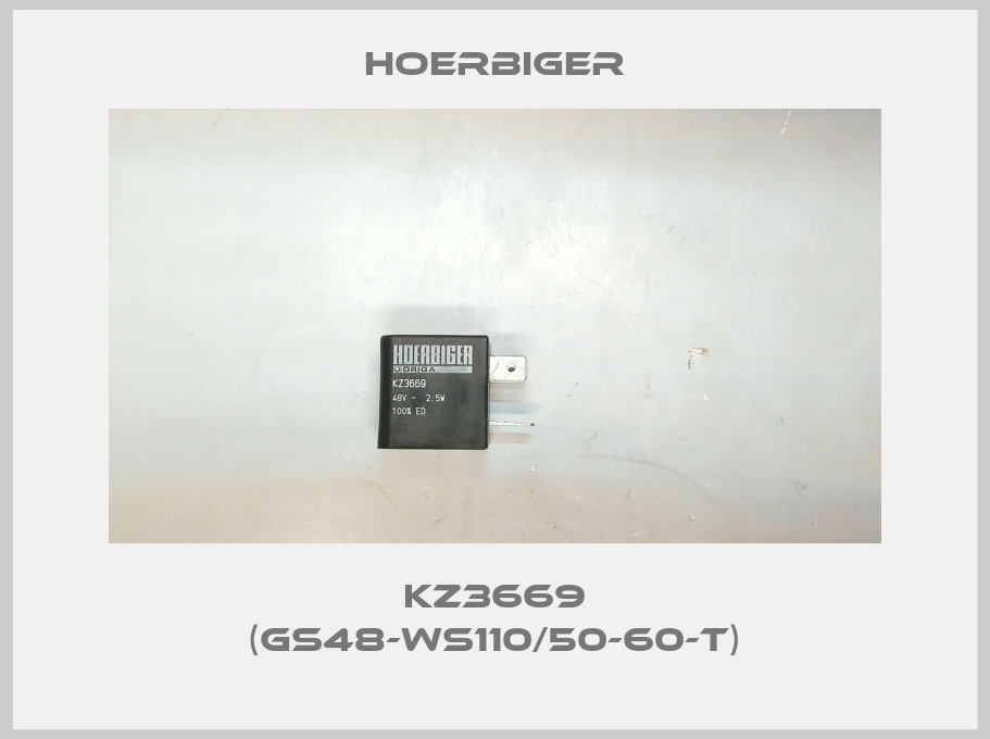KZ3669 (GS48-WS110/50-60-T)-big
