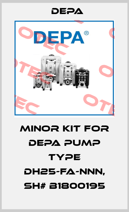 Minor kit for DEPA pump Type DH25-FA-NNN, SH# B1800195 Depa