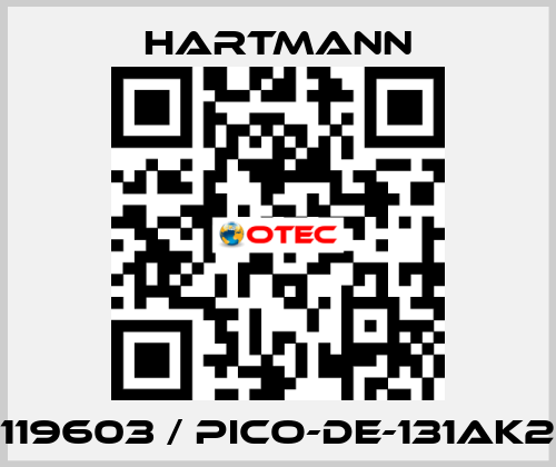 119603 / PICO-DE-131AK2 Hartmann