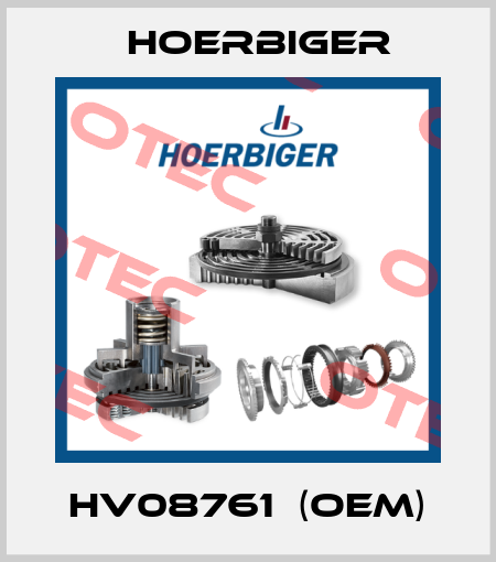 HV08761  (OEM) Hoerbiger