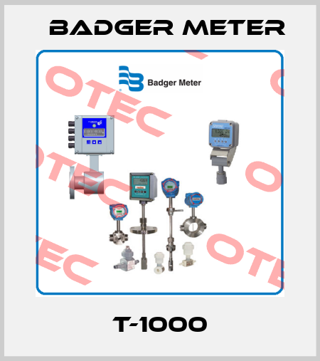 T-1000 Badger Meter