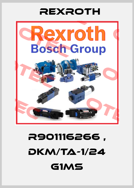 R901116266 , DKM/TA-1/24 G1MS Rexroth