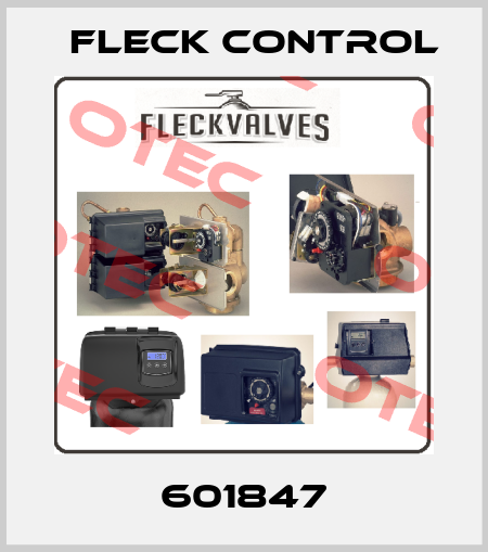 601847 Fleck Control